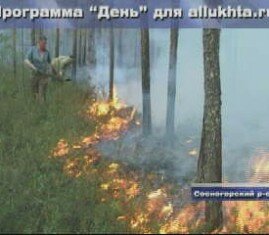 Сосногорский район горит
